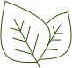 leafe